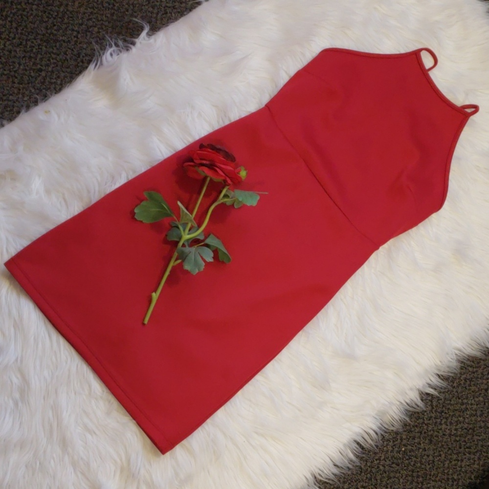 3x$10 Little red dress